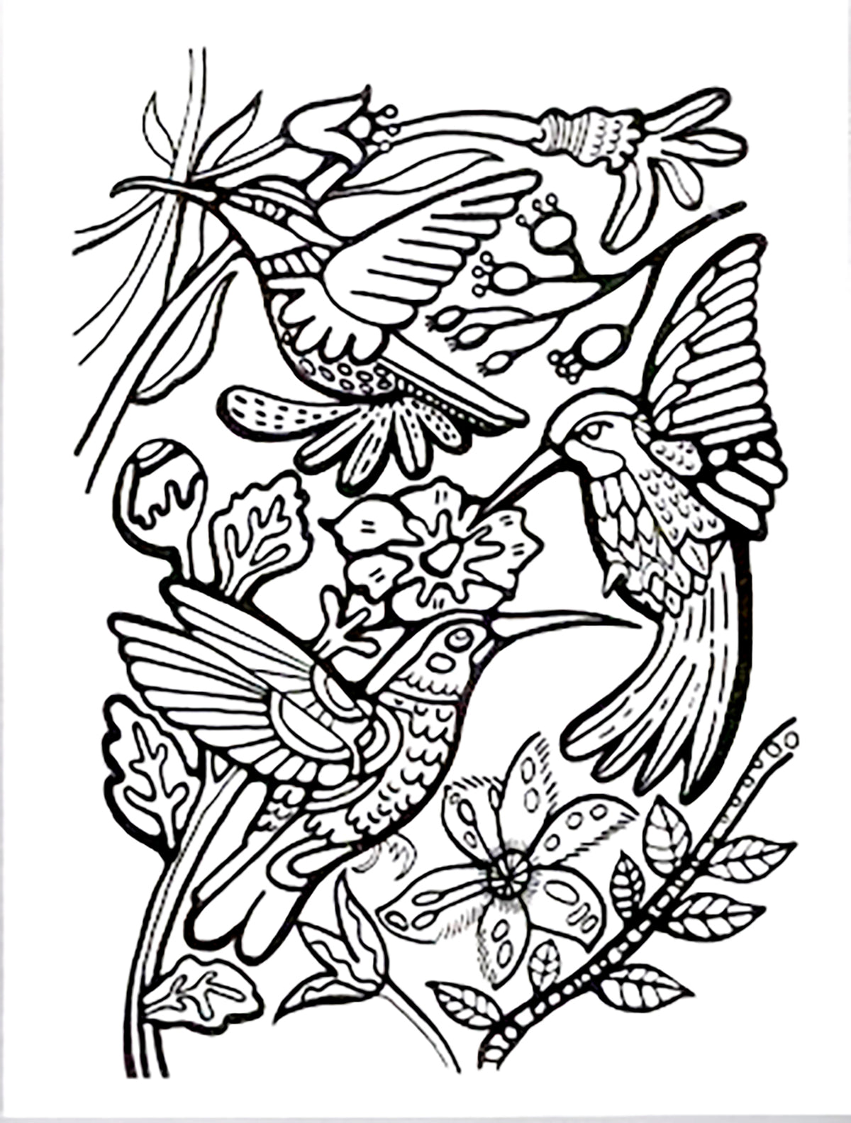 Hummingbird Trio Coloring Card
